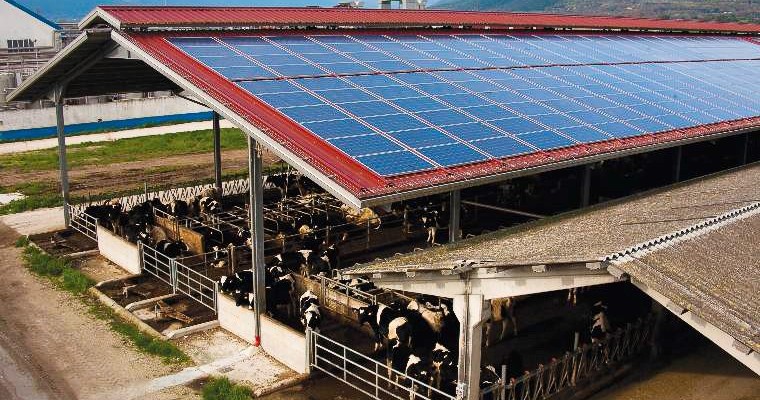(Italiano) Energie Rinnovabili in Agricoltura: 11 milioni di fondi in Emilia Romagna